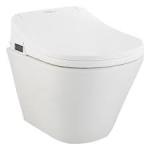 Hindware Water Closet E-CLENZ